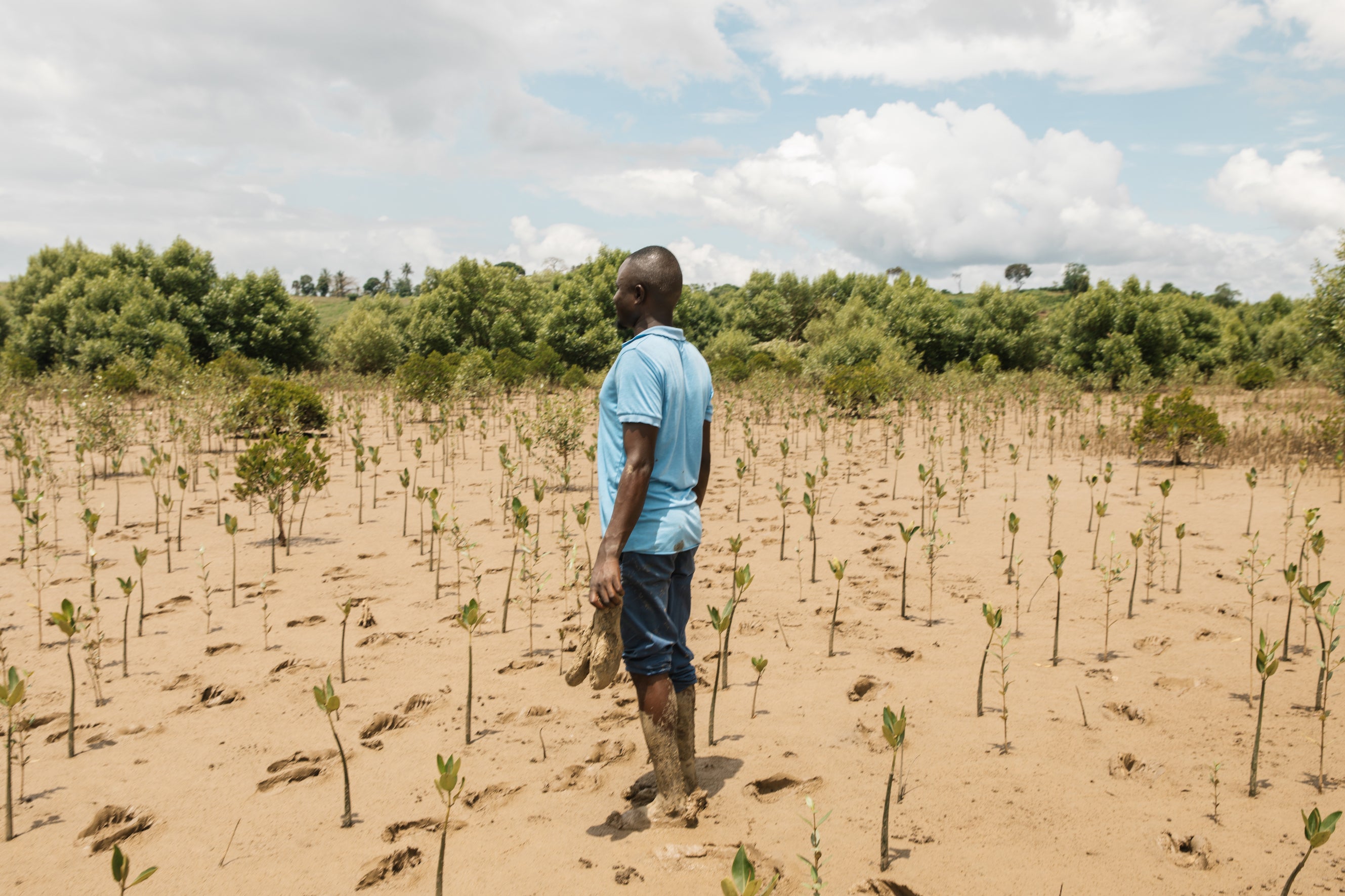 files/man-standing-plantation.webp